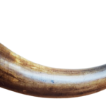 Revolutionary War Militiaman’s Powder Horn - Phillip Hartman