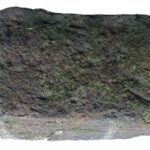 Brick from Point of Fork