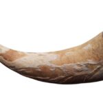 Revolutionary War Blowing Horn