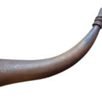 Revolutionary Powder Horn