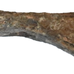 Tomahawk
