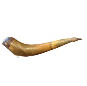Revolutionary War Powder Horn