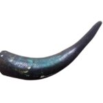 Buffalo Drinking Horn