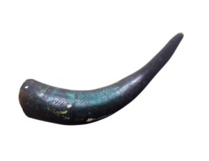 Buffalo Drinking Horn